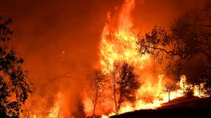 Today’s Brush Fire Near Palmdale Draws Heavy Emergency Response